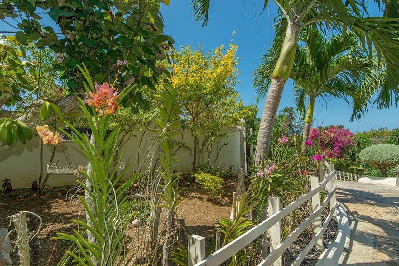 Luxury Villa Sleeps 6, Beach Access, Montego Bay Exteriér fotografie